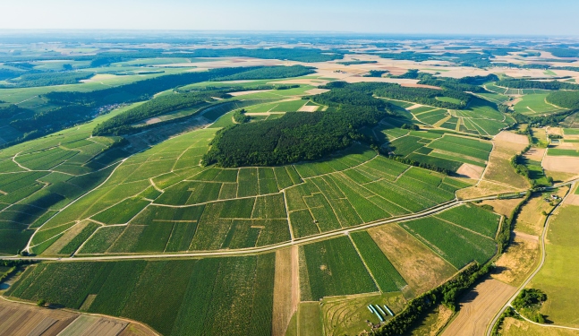 米利欧山/Mont De Milieu